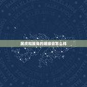 属虎和属兔的姻缘会怎么样，属虎和属兔的婚姻如何