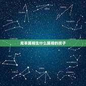 龙羊属相生什么属相的孩子，男的属龙，女的属羊，生宝宝属什么好