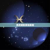 男虎婚配更佳属相，属虎的男性和什么生肖最配