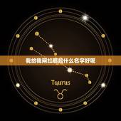 我给我网红那起什么名字好呢，取个网红名