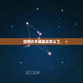 招财大牛猫最近怎么了，公众号很多自媒体操盘手在推荐利弗莫尔证券，最近招