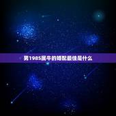男1985属牛的婚配最佳是什么，属马1990年男和属牛1985年女合婚