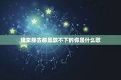 缘来缘去都是放不下的你是什么歌，这首歌是谁唱