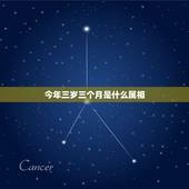 今年三岁三个月是什么属相，今年三岁属什么生肖