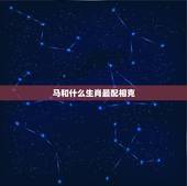 马和什么生肖最配相克，蛇和什么生肖最配相克