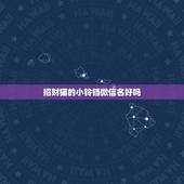 招财猫的小铃铛微信名好吗，好听又聚财的微信名字有什么？