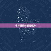 今年属鼠的爱情运势，属鼠的感情方面如何2019