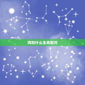 鸡和什么生肖配对，猴鸡相配的婚姻好吗