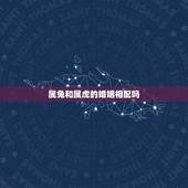 属兔和属虎的婚姻相配吗，兔和虎相配婚姻如何