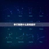 拳打脚踢什么属相最好，拳打脚踢的生肖是什么？