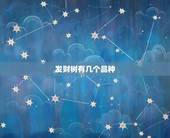 发财树有几个品种，发财树有几个品种！