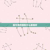 属牛男的婚配什么属相好，属牛的和什么属相最配 属牛的属相婚配表