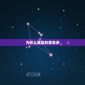 为什么属鼠的苦命多，属鼠几月份的是苦命
