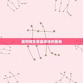 属狗做生意最忌讳的属相，属狗的与什么属相做生意和财