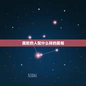 属蛇的人配什么样的属相，属蛇的和什么属相配
