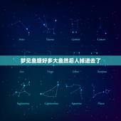 梦见鱼塘好多大鱼然后人掉进去了，梦见看见池塘里有一个人在钓鱼，鱼很多，