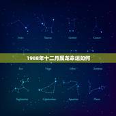 1988年十二月属龙命运如何，1988年12月15日生日命运