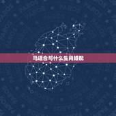 马适合与什么生肖婚配，属马的和哪几个生肖不能配 哪几个能配