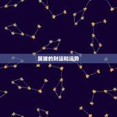 属猪的财运和运势，生肖属猪本周下周运势