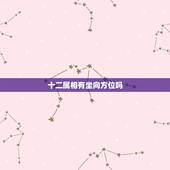 十二属相有坐向方位吗，壬午生人阴宅可坐癸山丁向吗