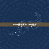 1991属羊男2023年运势，1991年属羊男胡凌峰，在2023年财运