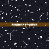 属相属猪的男子命最佳婚配，属猪的男的和哪个属相最配对