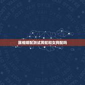 属相婚配测试男蛇和女狗配吗，属相婚配男蛇八月出生配女狗十月出生