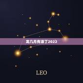 龙几月有添丁2022，2022 年生肖龙添丁