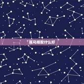 属马婚配什么好，马和什么相配婚姻更好