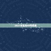 2021年生肖49号码表，十二生肖年份表2021