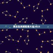 男女生肖婚配表大全2023，属鼠的和什么属相最配 属鼠的属相婚配表