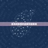 属龙和属兔的结婚伴娘属相，属龙和属兔的能结婚吗？