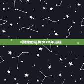 属猴的运势2022年运程，属猴人2022年运势及财运