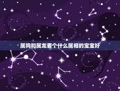 属狗和属龙要个什么属相的宝宝好，属狗和属龙夫妻生什么属相的宝宝好