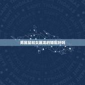 男属鼠和女属龙的婚配好吗，属鼠跟属龙相配吗
