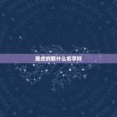 属虎的取什么名字好，寓意好的词语可用作公司名