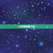 八字带有两个印，命带双印是什么意思