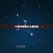 78年马佩戴什么最旺财，78年属马的佩戴什么菩提好