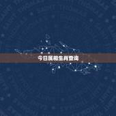 今日属相生肖查询，生肖属相查询？