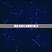 羊明年的运势如何2022，属羊人在2022虎年的运势