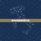 属牛的和属兔的配不配，男牛女兔结婚旺夫吗