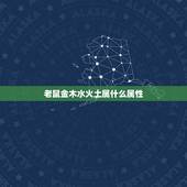 老鼠金木水火土属什么属性，属鼠1996涧下水命详解