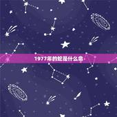 1977年的蛇是什么命，1976年出生的蛇是什么命