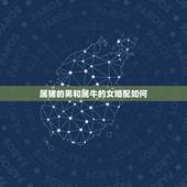属猪的男和属牛的女婚配如何，属猪的男孩与属牛的女孩婚配好不好？