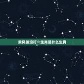乘风破浪打一生肖是什么生肖，乘风破浪属什么生肖