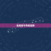 生肖龙今天的运势，生肖龙17年每月的运势