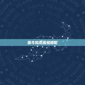 属牛和虎属相婚配，女属牛和男属虎的生肖相配吗