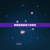 婚配属相表四大忌算命，生肖相配的四大忌是什么