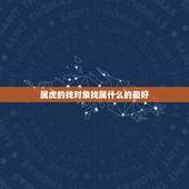 属虎的找对象找属什么的最好，属虎找个属什么的较好