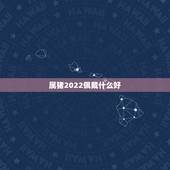 属猪2022佩戴什么好，属猪戴鼠吊坠好不好